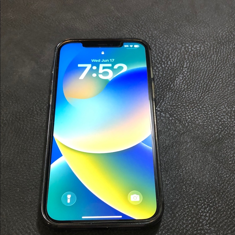Apple iPhone  12 pro max